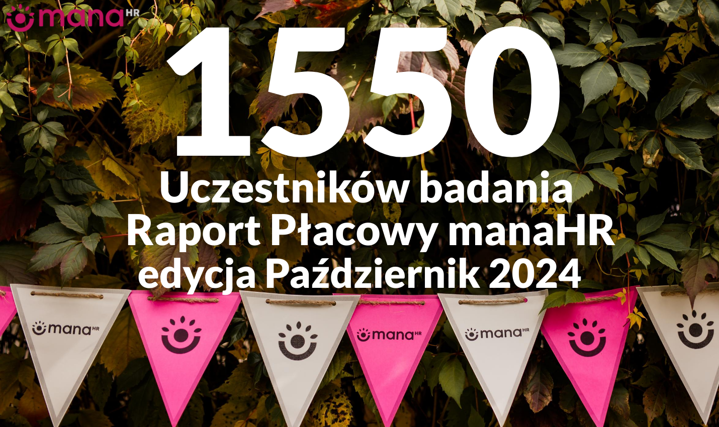 Raporty-P2024